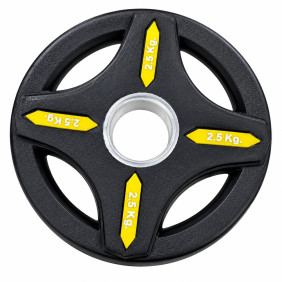 GYM24 Premium Olympic Weight Plates – Version 2.0