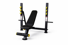 Gym24 Heavy Duty Commercial Adjustable Olympic Bench With Incline Decline Flat option