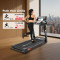 TAC-450® AC Motorized Treadmill with Large Display