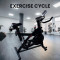 GYM24 SPIN BIKE 18 KG WHEEL MODEL:MMM