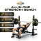 Gym24 Heavy Duty Commercial Adjustable Olympic Bench With Incline Decline Flat option