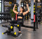 Gym24 Adjutable Olympic Bench 2.0 with Leg Extn and Curls